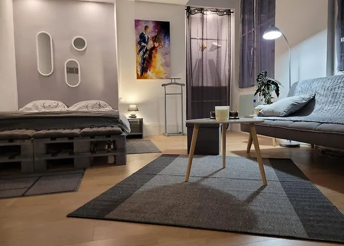 La Duchesse De Bourbon Appartement Châtellerault