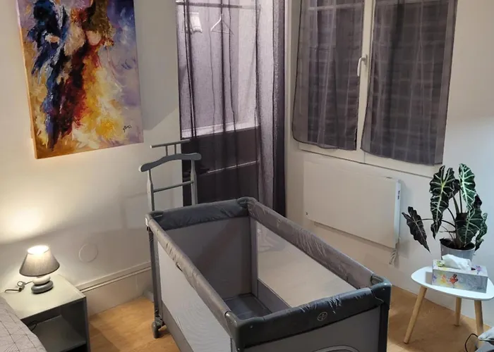 La Duchesse De Bourbon Appartement Châtellerault